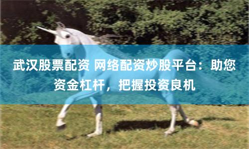 武汉股票配资 网络配资炒股平台：助您资金杠杆，把握投资良机