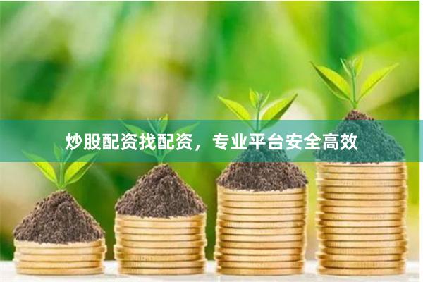 炒股配资找配资，专业平台安全高效